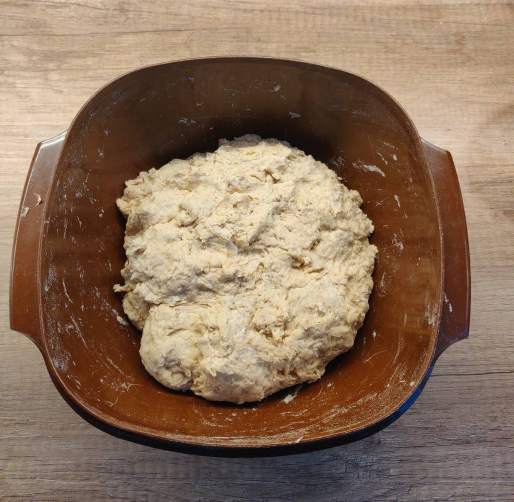 Roughly mixed dough with onyl water and flour
