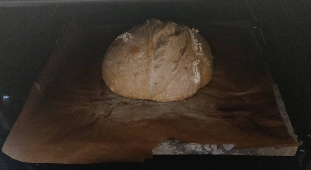 Sourdough baked in mist did not form any crust