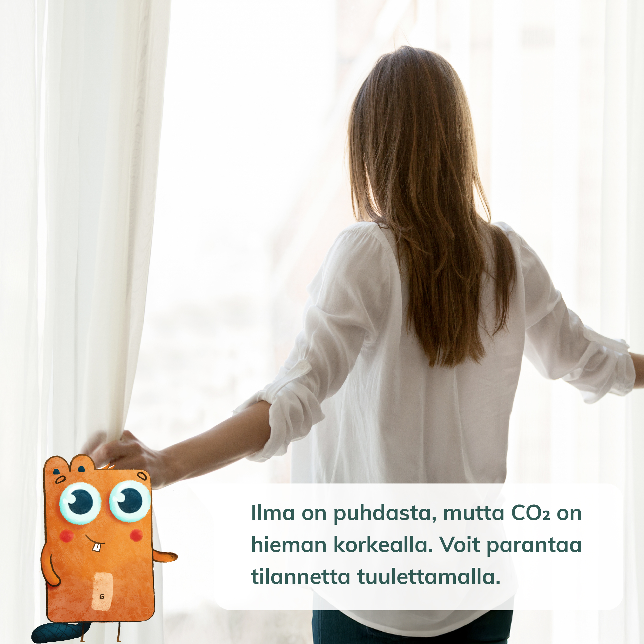 Ruuvin sisäilmanlaadun vinkit