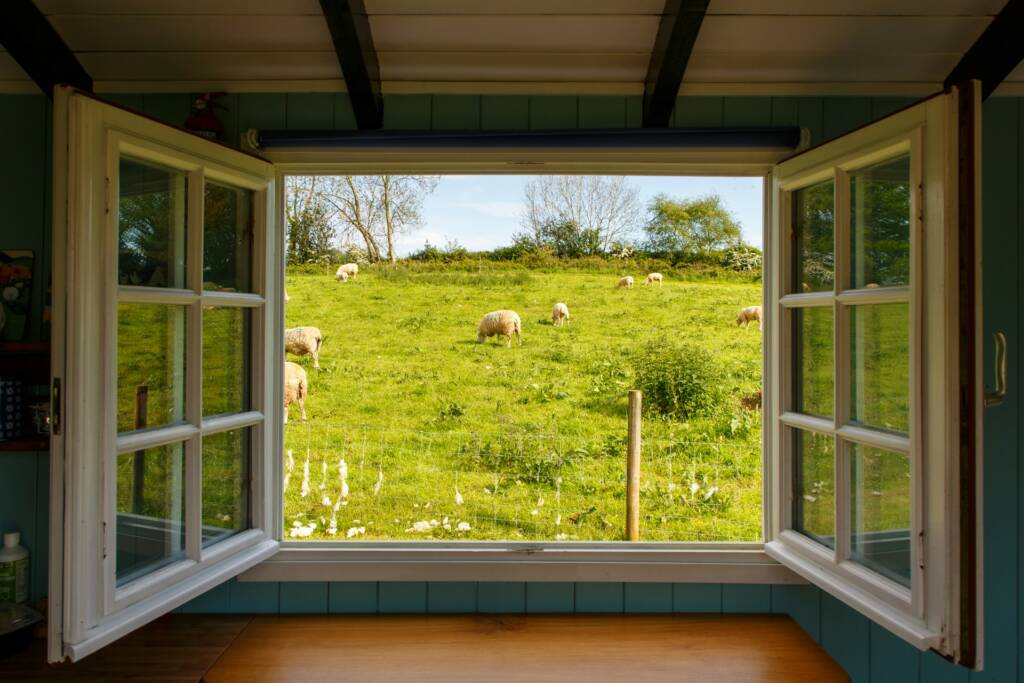 Open window view from a cozy room to a green pasture with grazing sheep under a blue sky.