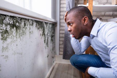 Side View Of A Shocked Young Man Looking At Mold On Wall