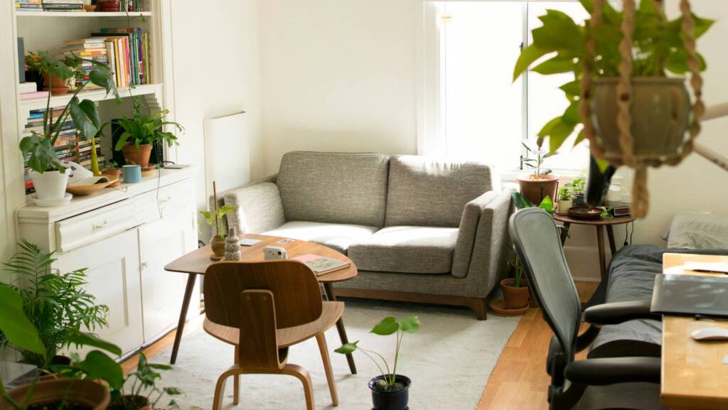 Bright, cozy living room with a gray sofa, wooden furniture, bookshelves, and numerous green houseplants.