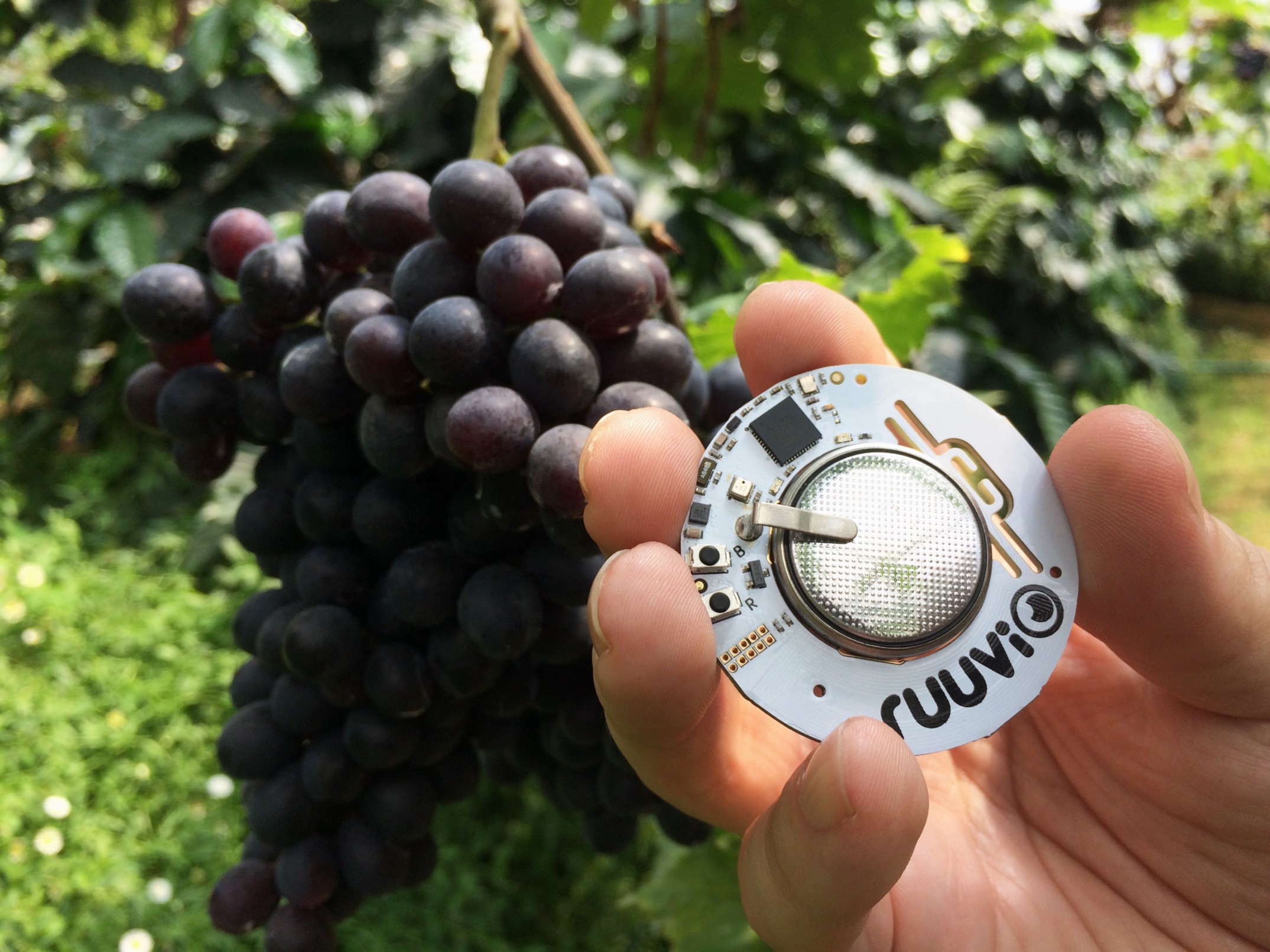 Nautic-Instruments - 10% Off on Naudet Wine Cellar Indicator OPTIMAL The  OPTIMAL is a thermometer-hygrometer, it measures the temperature and  humidity of the wine cellar in which it is installed. The alignment
